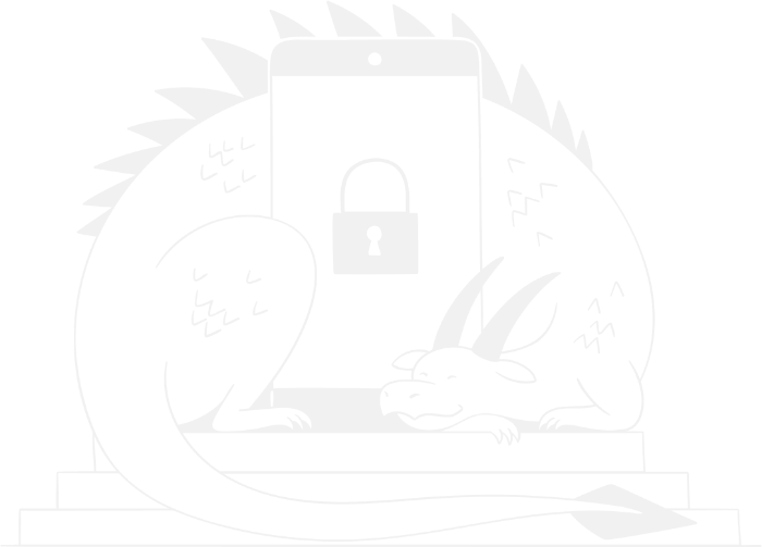 Privacy Dragon