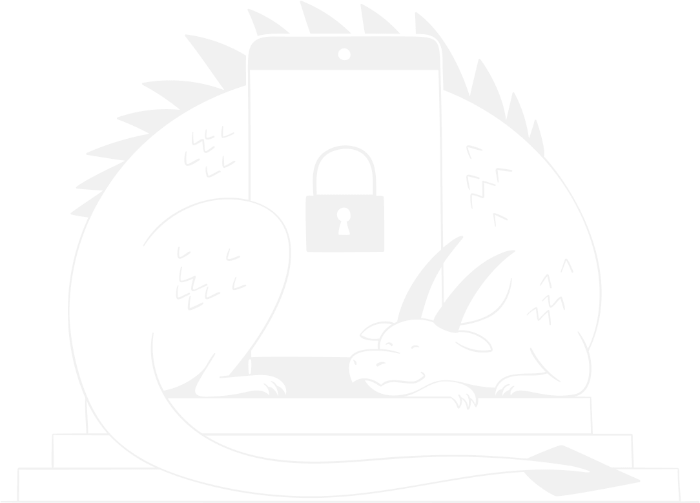 Privacy Dragon